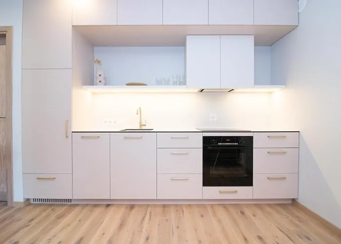 Vanagupes Park Apartments, By Cohost Palanga